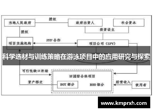 科学选材与训练策略在游泳项目中的应用研究与探索